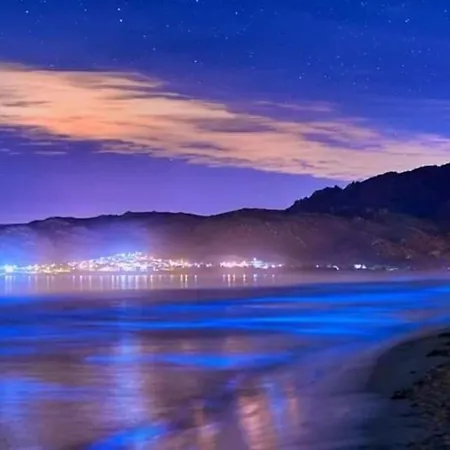 Playa De Carnota Lofts Lägenhet